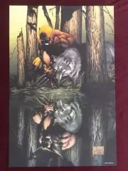 WOLVERINE ORIGINS 1 POSTER 9.5X15"NM SHIPPD FLAT QUESADA X-MEN