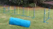 YES4PETS Portable Dog Puppy Training Practice Weave Poles Agility Post Exercise Tunnel Jump Tyre Set