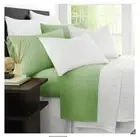 New Ramesses 2000 TC Bamboo Single Sheet Set Avocado