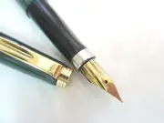 Vintage Old Stock Graceful Lush Green Body Fountain Pen EJJ