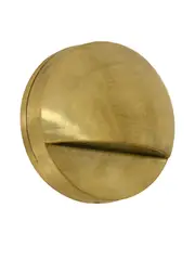 Norwest LED 12V Brass Steplight in Warm White