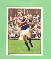 1984 SCANLENS VFL STICKER - #38 STEVEN WALLIS, FOOTSCRAY BULLDOGS