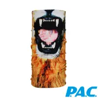 在飛比找momo購物網優惠-【PAC德國】逗趣面具造型頭巾(PAC8810255獅子/抗