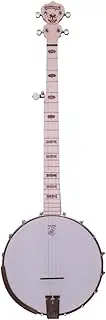 Deering Goodtime Openback 5 String Banjo - Best Beginner Banjo | Made In U.S.A.