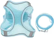 Generic 1 Set Pet Harness Cute Dog Leash Pet Vest Harnesses Summer Dog Leash Small Dog Harness Reflective Dog Collars for Medium Dogs Cat Vest Leash Outdoor Walking Dog Harness Polyester