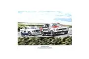 Panorama Magic 1978 Ford XC Cobra Sign 50 x 35cm