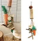 Rabbit Cage Hanging Chew Toys Rabbit Teeth Grinding Chew Toys For Guinea Pigs Ch