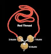 [Vishaka Arts] Rudraksha Combination for Career 3,7,12 Mukhi Nepal in Silver Pendant IGL Lab Certified Original Genuine Beads (Small)