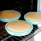 Steamed Cake Mold Easy to Release Make Cakes High Tenacity Pastry Mold Non-stick