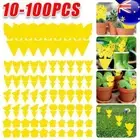 Up to 50pcs Dual Sided Strong Sticky Trap Insect Killer Fruit Fly Trap Gnat Au