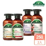 【ANTICA 義大利草本專家】草本洗髮乳250ML_2入組(蕁麻葉/洋甘菊/薰衣草/玫瑰果油 任選)