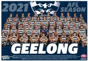 Geelong cats Team poster, AFL football,Sydney swans,bulldogs,pies books,blues 1