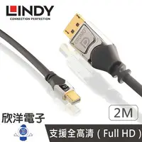 在飛比找樂天市場購物網優惠-※ 欣洋電子 ※ LINDY林帝 Mini-DisplayP