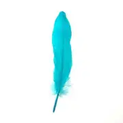 Goose Pointer Feathers 10 grams - Aqua