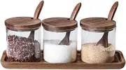 Lirixus Modern Spice Jar Set, 3-Pack Glass Containers with Bamboo Tray, Semi-Sealed Lids, Long Handle Spoons, 280ml/9oz Capacity Each, Perfect for Spices, Salt, Sugar, Pepper