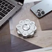 Executive Desk Toy – Fun Silver Metal Decision Maker Paperweight