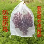 葡萄專用套袋防蟲防鳥網袋裝紅薯土豆編織紗網袋水果袋子塑料網兜