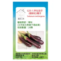 在飛比找momo購物網優惠-【蔬菜工坊】G35-1.早生茄子種子(咖啡紅)