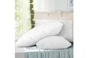 Giselle Bedding Duck Feather Down Pillow Luxury Twin Pack