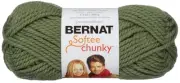 Bernat Softee Chunky Yarn-Forest 161128-28243
