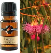Gumleaf Fragrance Lemon & Eucalyptus Fragrant Oil - 10ml, Cruelty Free & Vegan, Phthalate-Free Fragrance