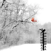 Cardinal Snow Gauge: Measures up to 18" Snowfall - Made in USA