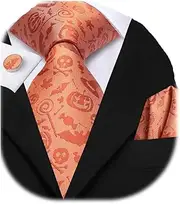 Dubulle Mens Paisley Striped Tie and Handkerchief Cufflinks Tie Set for Men Wedding Business Formal