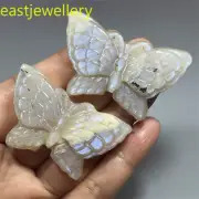 A++ 1pc Natural moonstone Hand Carved butterfly skull Quartz Crystal healing 2"