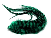 6 Pieces XL Peacock Green Thick Long Grizzly Whiting Farm Rooster Saddle Feather