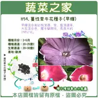 在飛比找樂天市場購物網優惠-【蔬菜之家】H54.蔓性牽牛花種子(早輝)(共有2種包裝可選