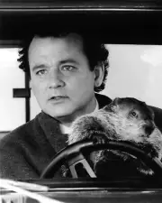 Groundhog Day Bill Murray drives truck with groundhog classic comedy 11x14 Photo