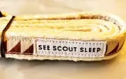 Crate & Barrel SEE SCOUT SLEEP Dog leash Nice Grill Leash Brand New NWT