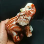 TOP 742G Natural Calcite Agate Crystal Handcarved Elephant Healing WD1301