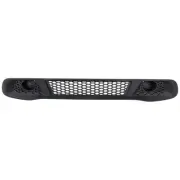 Bumper Face Bar Grilles Front 4518880423 for Smart Fortwo 2013-2015 (for: Smart)