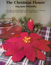 Pointsetta Centerpiece or Wall Hanging Pattern #1175 Have a Macrame Christmas