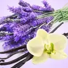 PREMIUM HIGHLY SCENTED REED DIFFUSER REFILLS -Vanilla Patchouli & Sandalwood