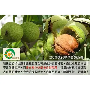 三包組 光薰原味紙皮核桃(300g/包) 紙皮核桃 原味核桃 團購食品 進口零食零嘴 伴手禮 核桃食品 核桃零食 新疆核桃 原味堅果 送禮首選