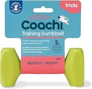Company of Animals Coachi Training Dumbbell Toy, Lime, Medium