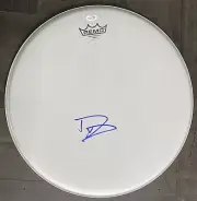 Dave Grohl Signed Drum Foo Fighters Autographed Drum ACOA Cert Nirvana Proof