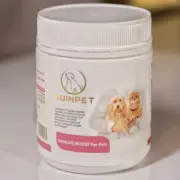AUINPET IMMUNE BOOST Lactoferrin Peptide Powder For Pets 60g