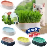Cat Grass Cultivation Kit Catnip Planting Box Cat Grass Growing Box with Seeds