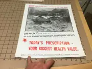 14x17" PNI Pictorial News of the Day Poster - GLIDDING ITALY - Oct 21 -1974
