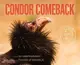 Condor Comeback