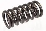 External Valve Spring 466384 Fit for VOLVO TAD740
