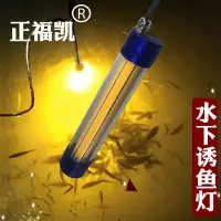 在飛比找蝦皮商城精選優惠-誘魚燈12v下水燈強光防水 超亮 LED大功率100W黃光水