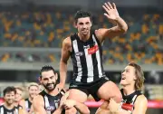 2023 Collingwood magpies AFL football team poster,FREE POST PREMIERS CHAMPIONS