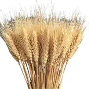 100Pcs Artificial Wheat Ear with Stem Realistic Non-withering No Watering Wedding Photo Props Indoor Outdoor Home Office Garden Decoration Faux Pla...