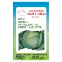 在飛比找PChome24h購物優惠-B27.新秋耐熱甘藍種子(高麗菜)