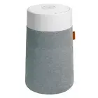 Blueair Blue Max Mini Air Purifier