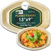 Planet Pantry Disposable Palm Leaf 13" x 9" Serving Tray Wooden Bamboo Platter